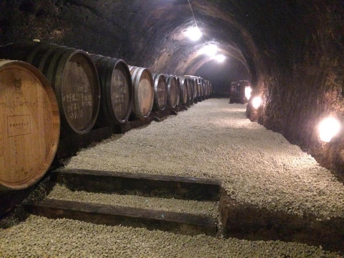 Préselő Pincészet és Vendégház Erdőbénye Extérieur photo